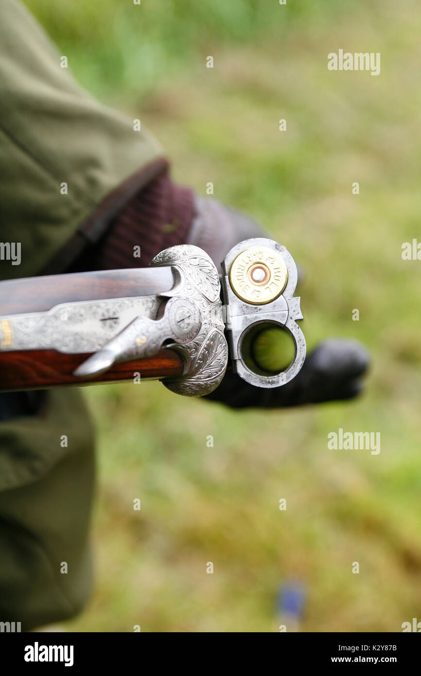 Gauntlett shoot Gun Barrels, One 12 Bore Cartridge Stock Photo Alamy