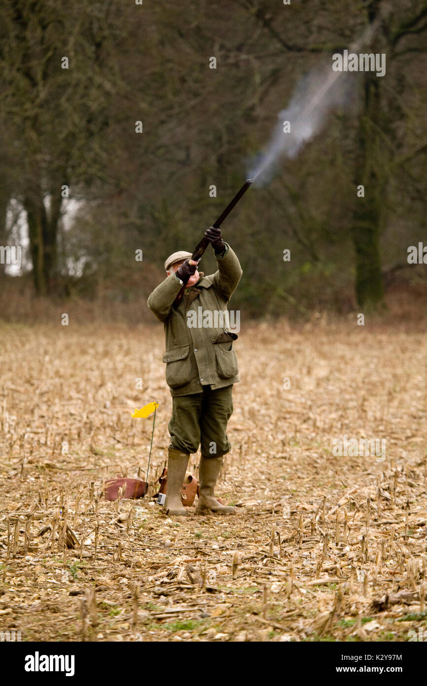 Man firing shot gun on Pheasant Shoot Stock Photo