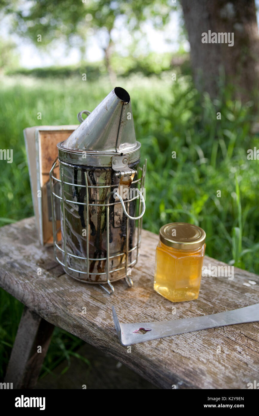 Plants for honey bees hi-res stock photography and images - Alamy