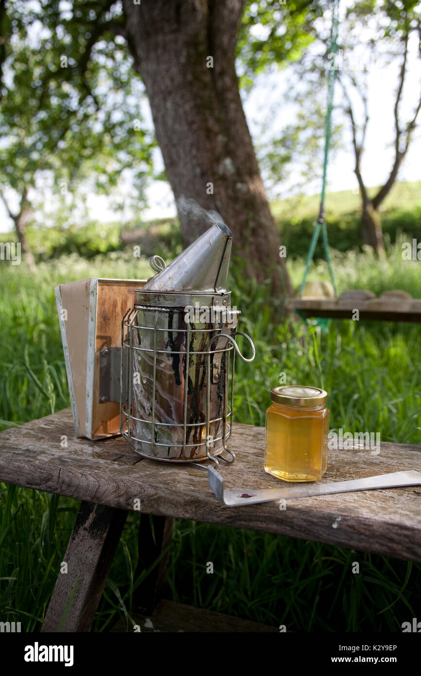 Plants for honey bees hi-res stock photography and images - Alamy