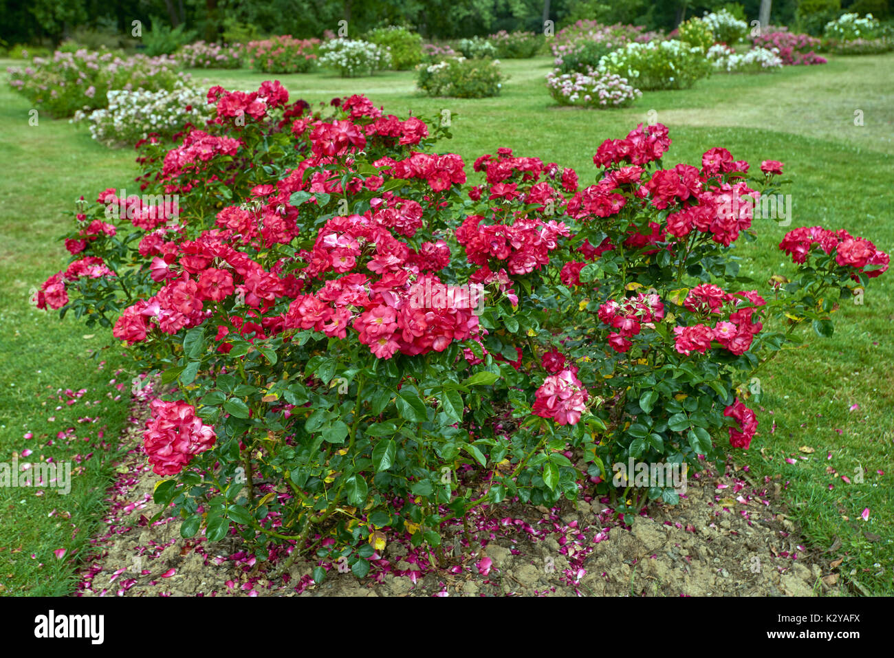 Parc de Bagatelle, Paris, France Stock Photo