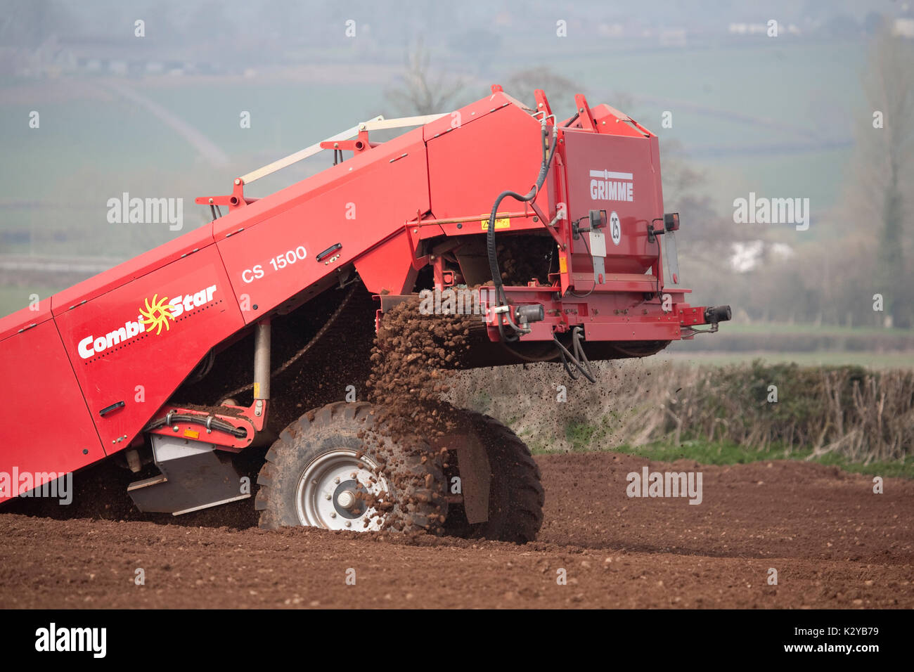 Preparing and planting organic potatoes Stock Photo Alamy