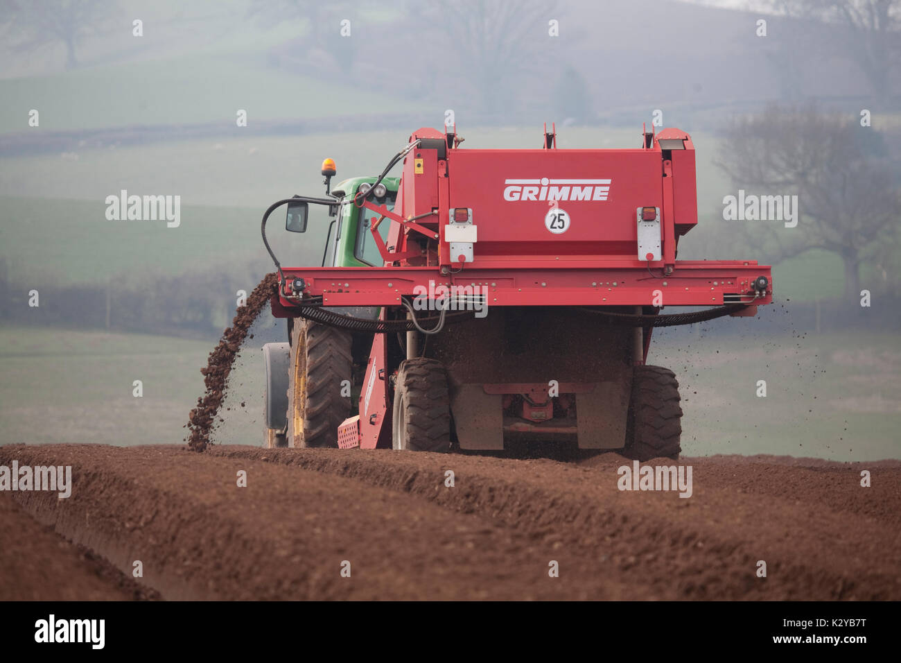 Preparing and planting organic potatoes Stock Photo Alamy