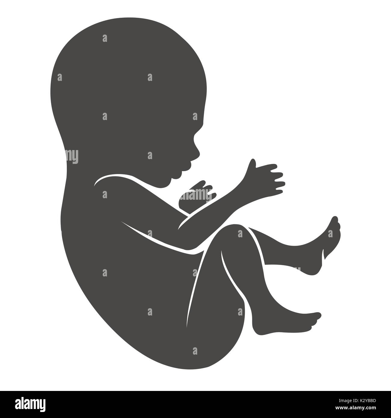 Human fetus icon or newborn and unborn baby silhouette isolated on white background. Vector illustration Stock Vector
