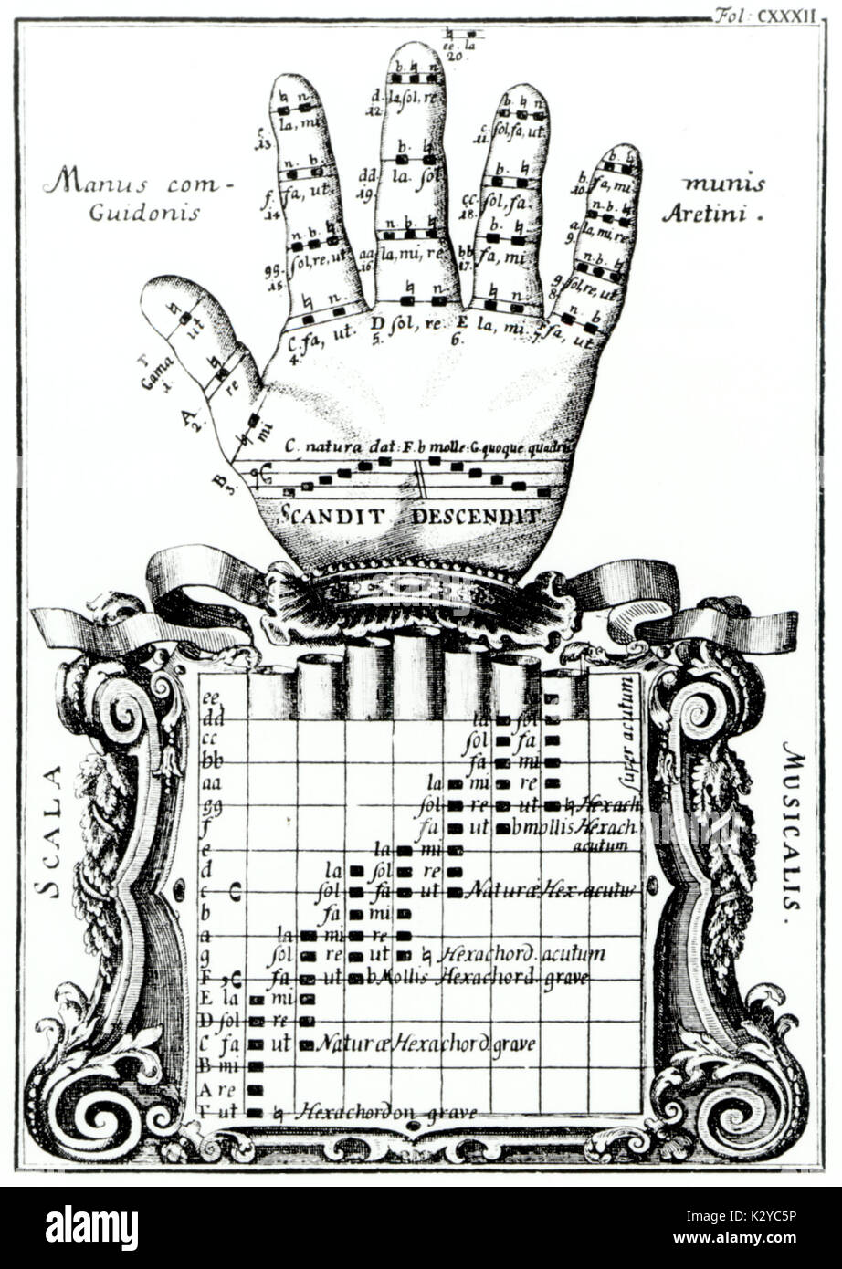 The Guidonian hand - Guido of Arezzo's device for showing the notes of the scale (Italian theorist, music teacher and Benedictine monk, b c.991-d after 1033).  The dotted line shows the order in which the notes are to be read. Stock Photo