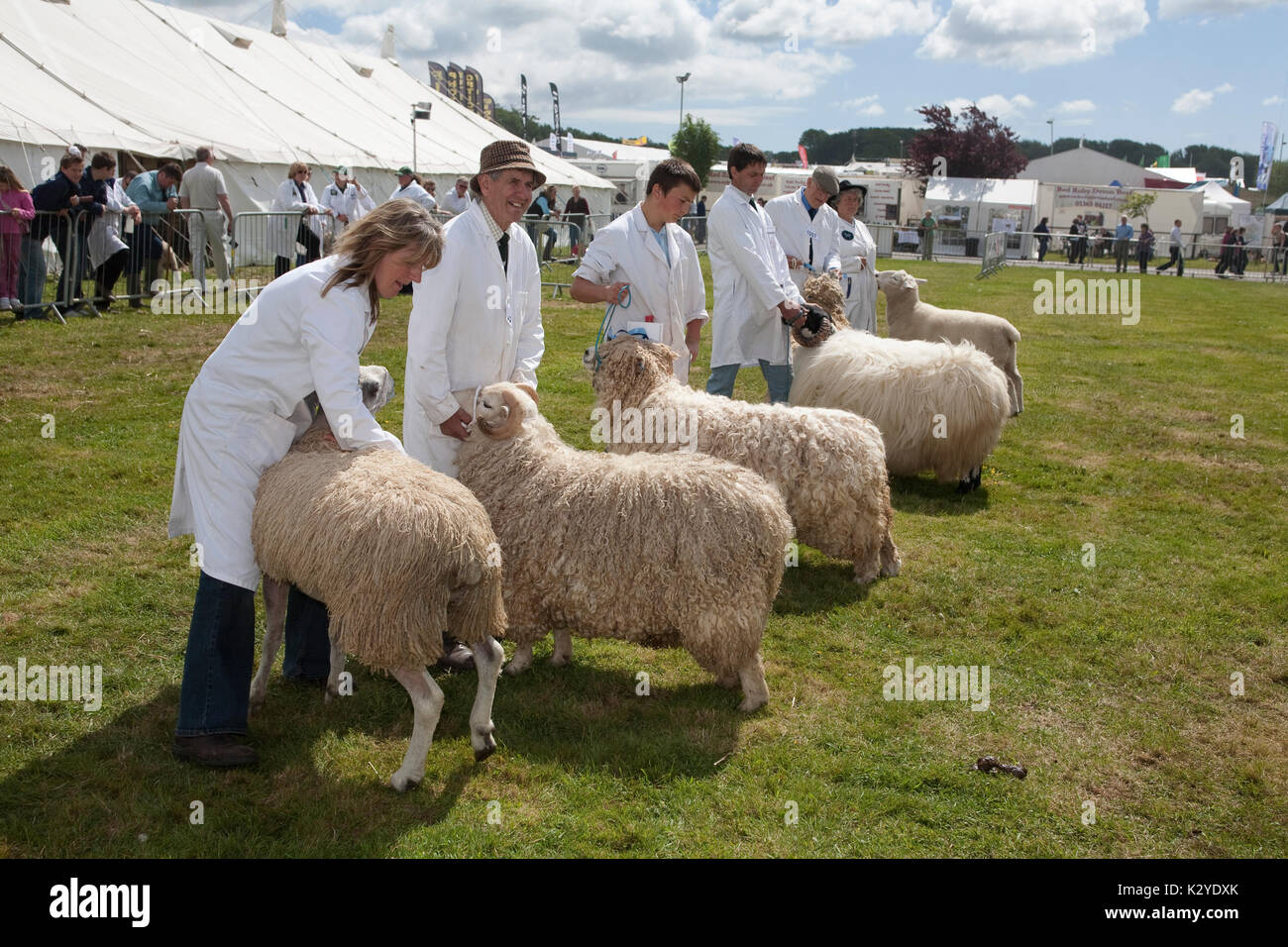 Devon county show 2009 hires stock photography and images Alamy
