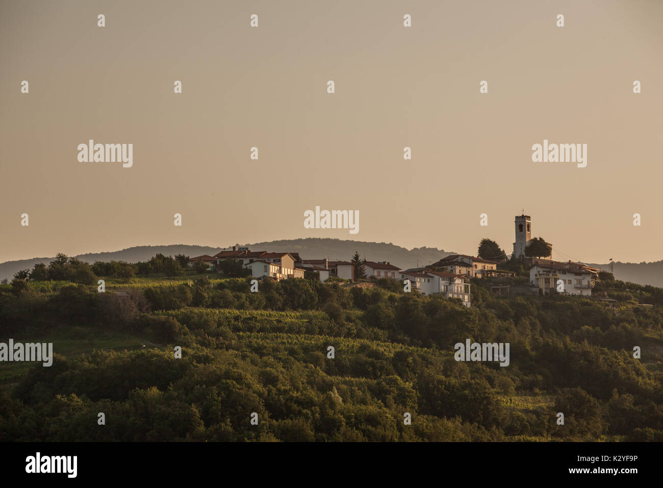 Italy slovenia border vineyard hi-res stock photography and images - Alamy