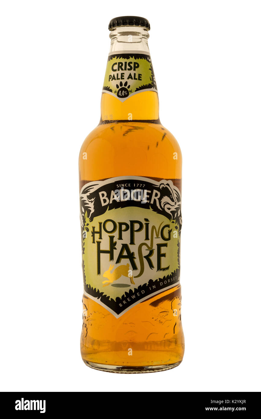 Hall & Woodhouse (Badger) Brewery Hopping Hare bottled beer. Stock Photo