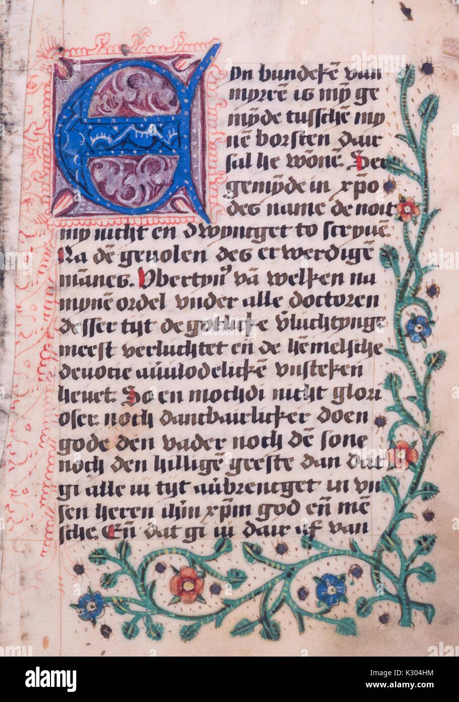 Illuminated manuscript page of prayer with decorative plants and flowers, from the 'Arbor vitae crucifixae Jesu Christi, ' a 15th century Dutch book of hours, 2013. Stock Photo