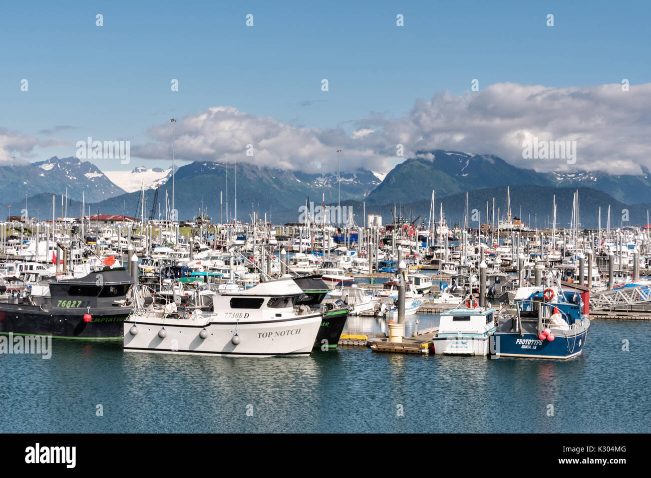 The City of Homer Port & Harbor marina on the Kamishak Bay overlooking the  Kenai Mountains in Homer, Alaska Stock Photo - Alamy