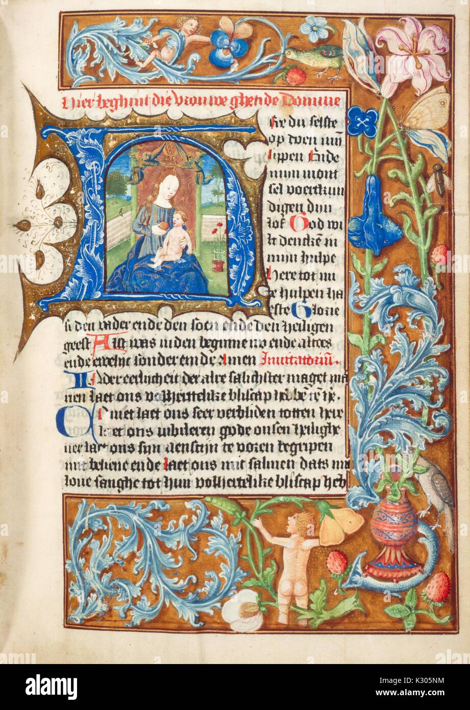 Illuminated manuscript page depicting the Blessed Virgin feeding an apple to baby Jesus, from 'Hier beghint die vrouwe ghetide Domine, ' a 15th century Dutch book of hours, 2013. Stock Photo