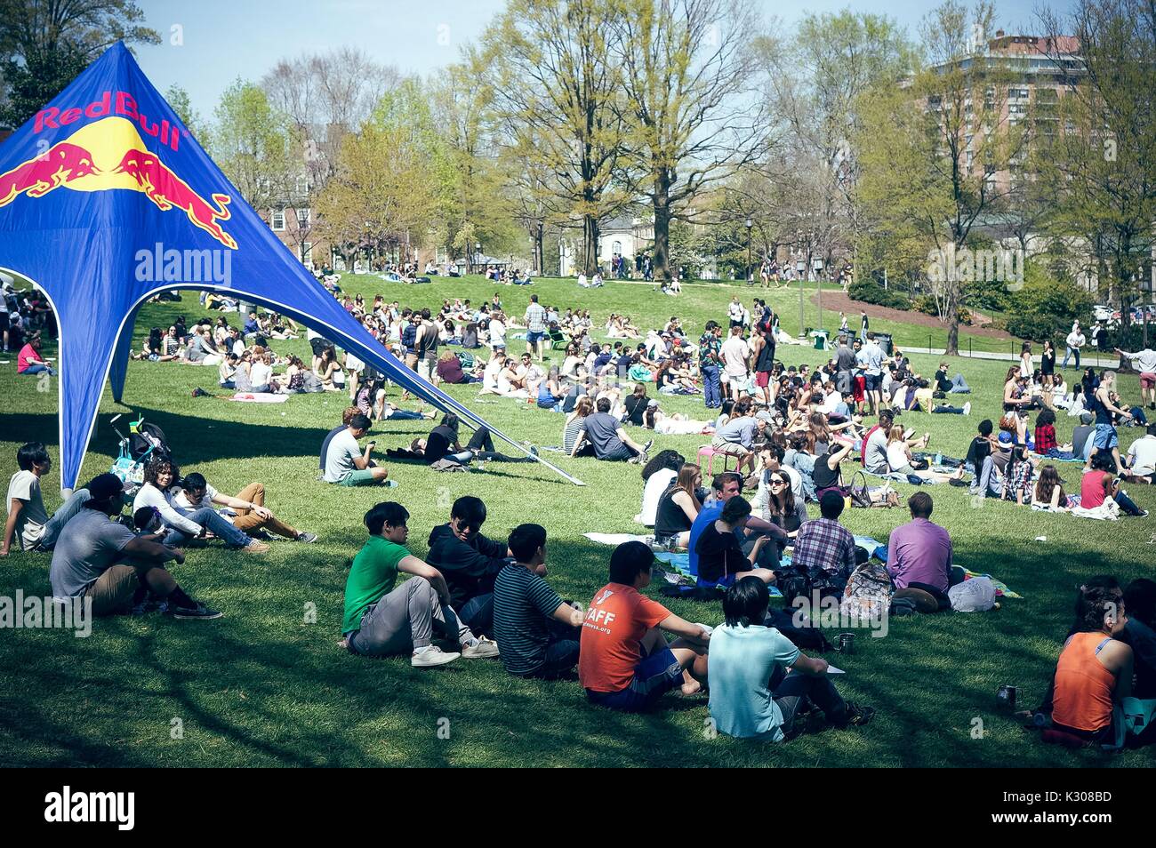 Dozens of students huddle and sunbathe on the grassy Beach, with drinks all around and a large Red Bull tent to the left, during Spring Fair, a student-run spring carnival at Johns Hopkins University, Baltimore, Maryland, April, 2016. Courtesy Eric Chen. Stock Photo
