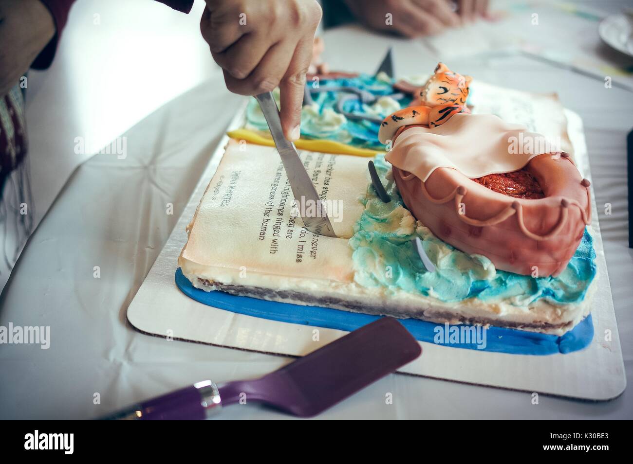 Life of Pi cake at the Johns Hopkins University's annual 'Read It And Eat It' Edible Book Festival on the Homewood campus in Baltimore, Maryland, March, 2016. Courtesy Eric Chen. Stock Photo