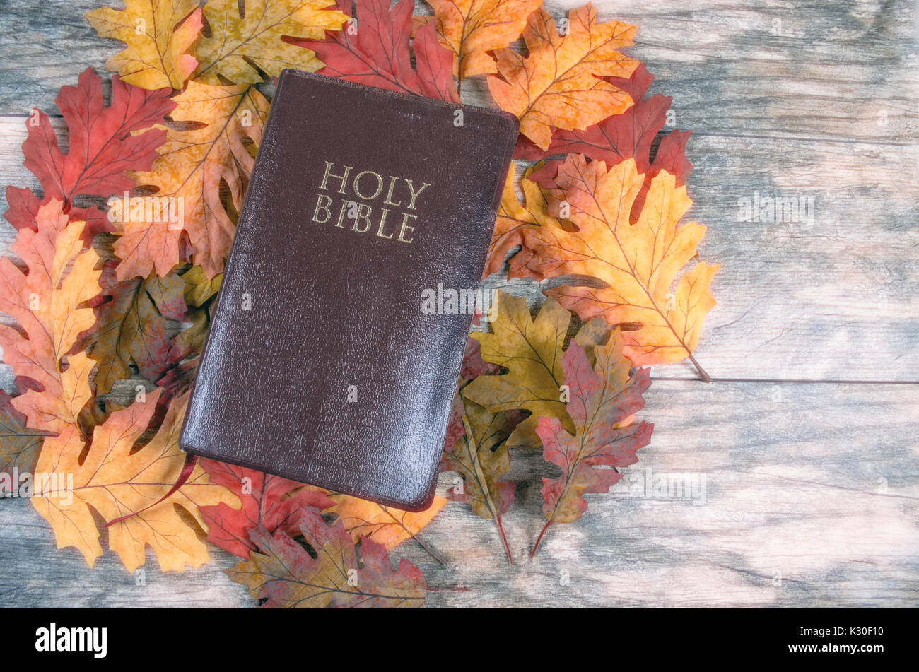 Bible on fall leaves Stock Photo  Alamy