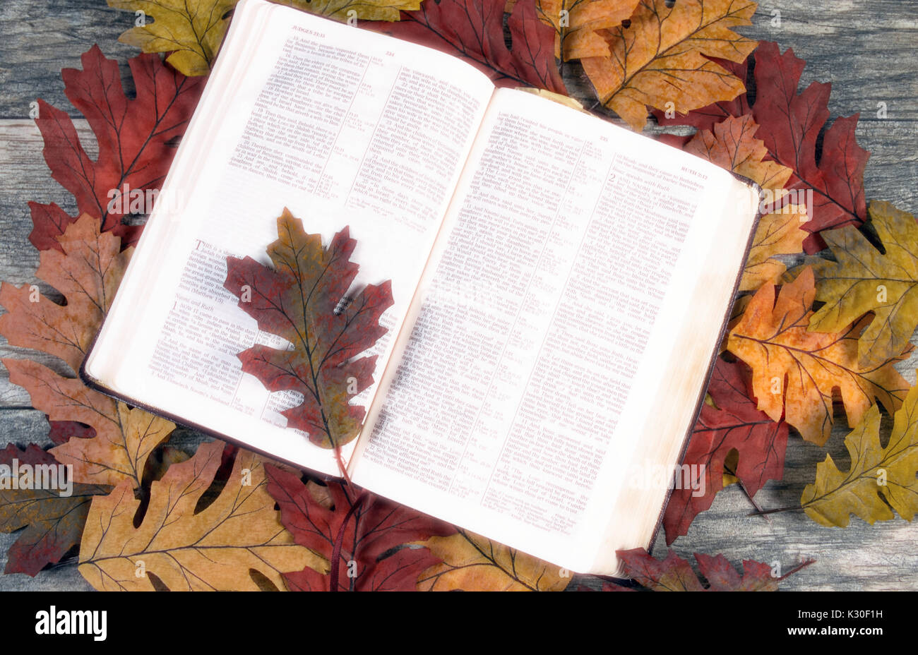 Open Bible on fallen leaves Stock Photo