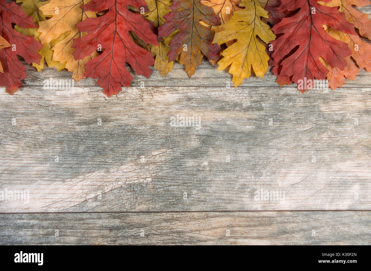Autumn leaves border Stock Photo