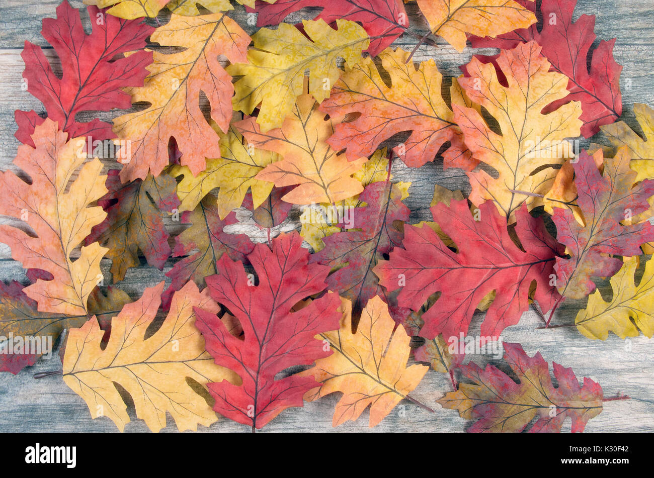 Fall leaves on wood background Stock Photo