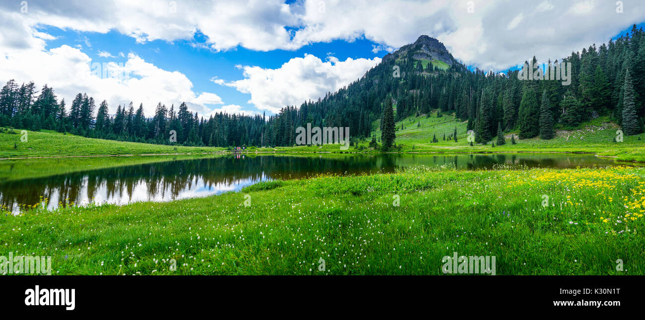 This is the picture of Tipsoo Lake with green grass and blue sky at Mount Rainier National Park, Washington. Stock Photo