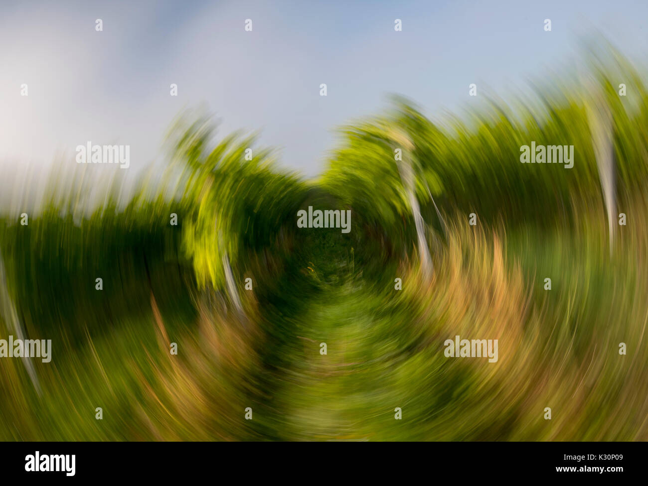Photographic technique, intentional camera movement, the circular effect caused by rotating the camera at a low shutter speed Stock Photo