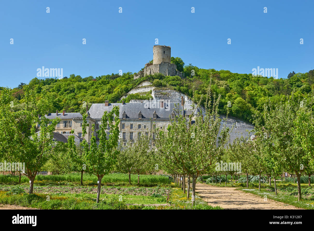 Château de La Roche-Guyon, France Stock Photo - Alamy