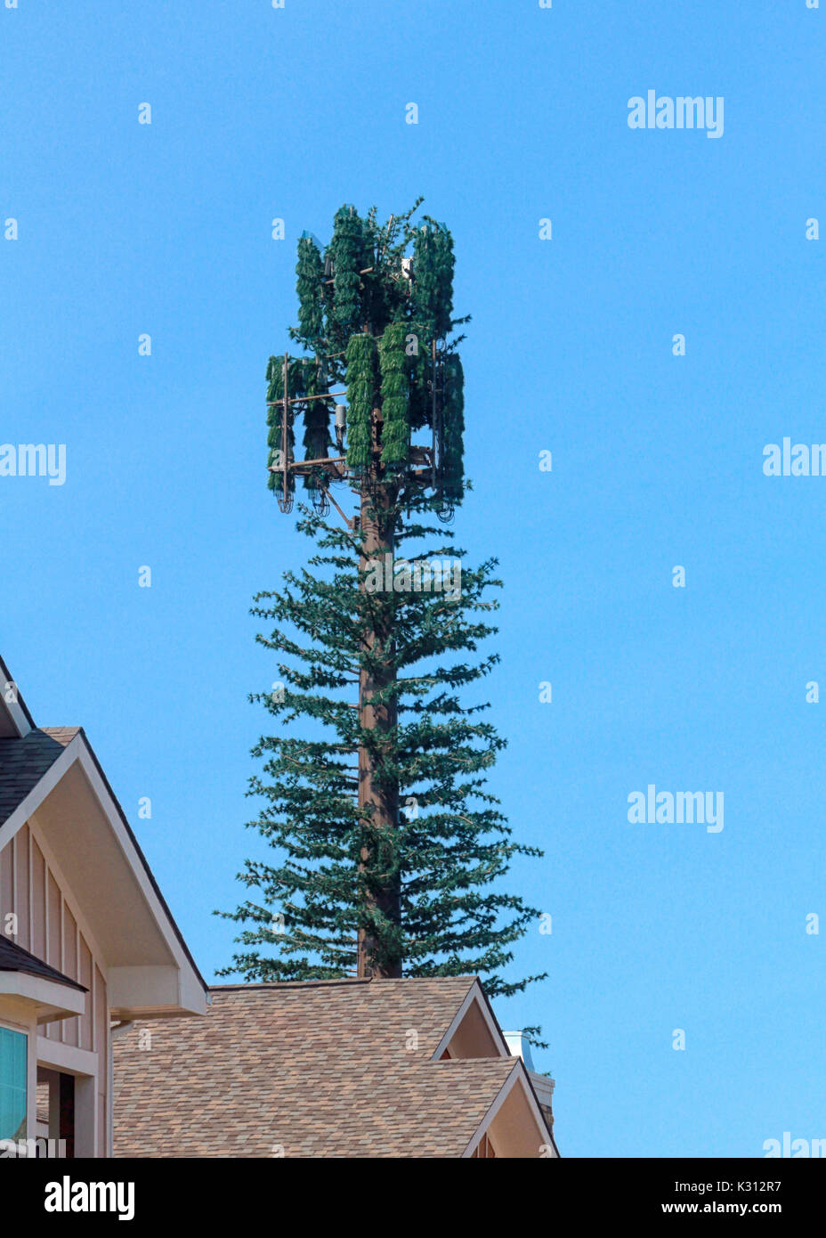 A communication tower badly camouflaged as a pine tree stands in a residential urban area. Stock Photo