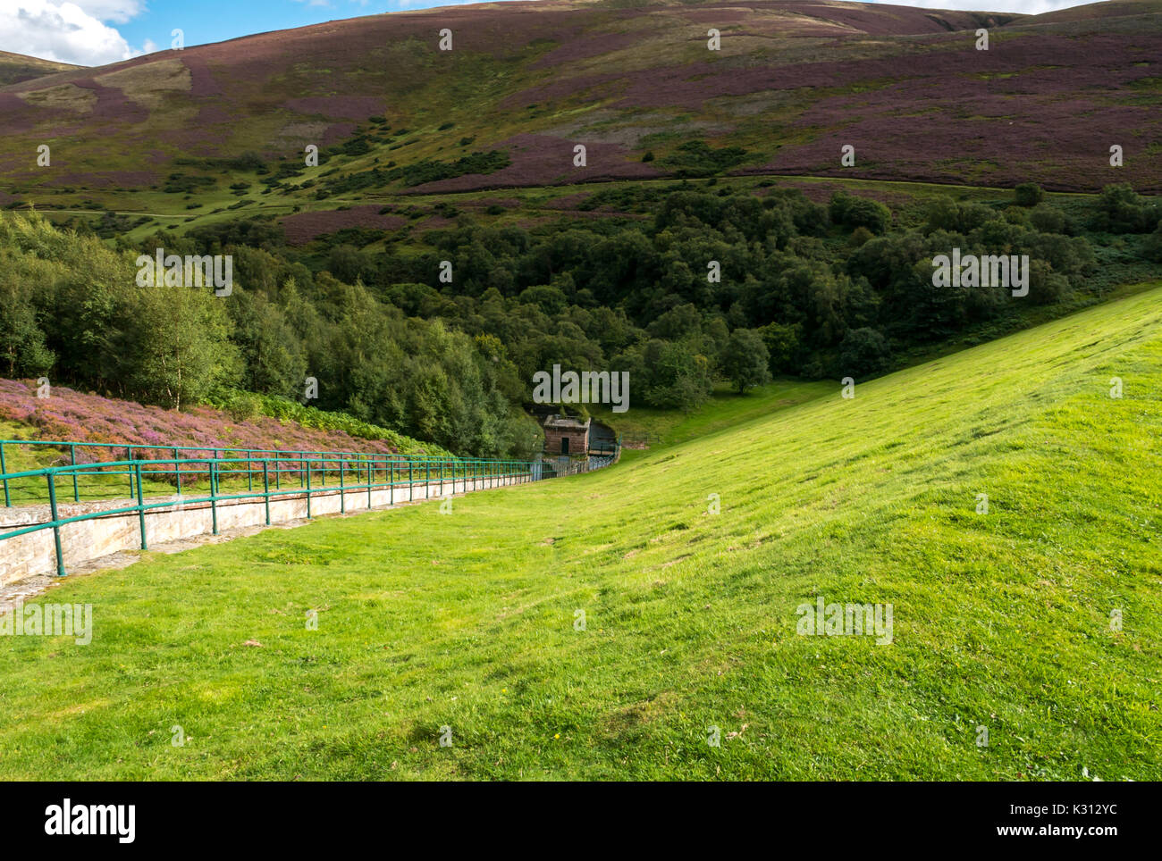 Grassy bank of dam at Hopes Reservoir, Lammermuir Hills, East Lothian, Scotland, UK, with spillway and purple heather hillside Stock Photo