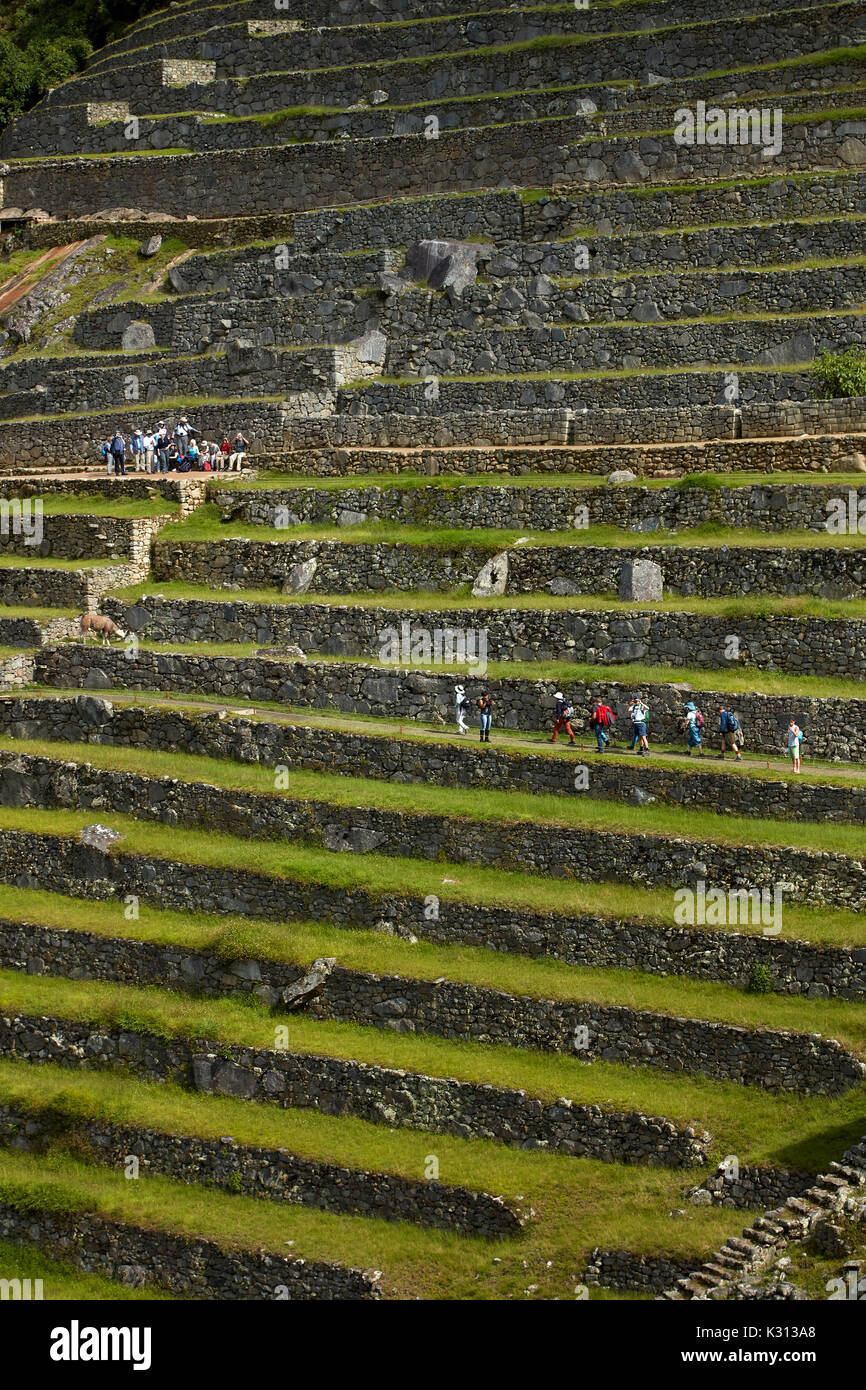 Machu picchu terraces hi-res stock photography and images - Alamy