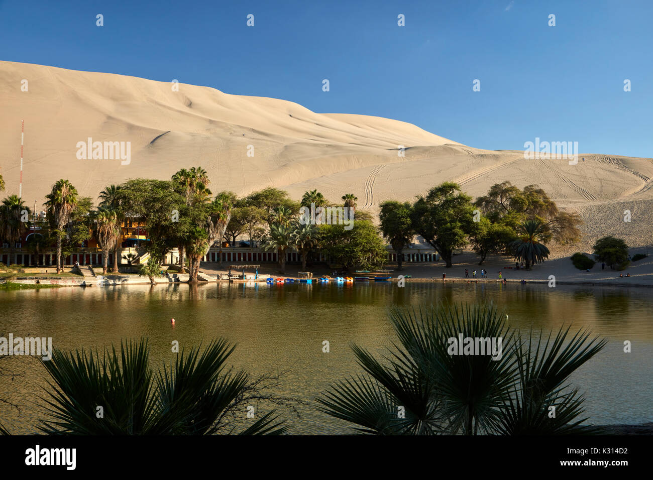 Palm trees, Huacachina Oasis and dunes, near Ica, Peru, South America Stock Photo
