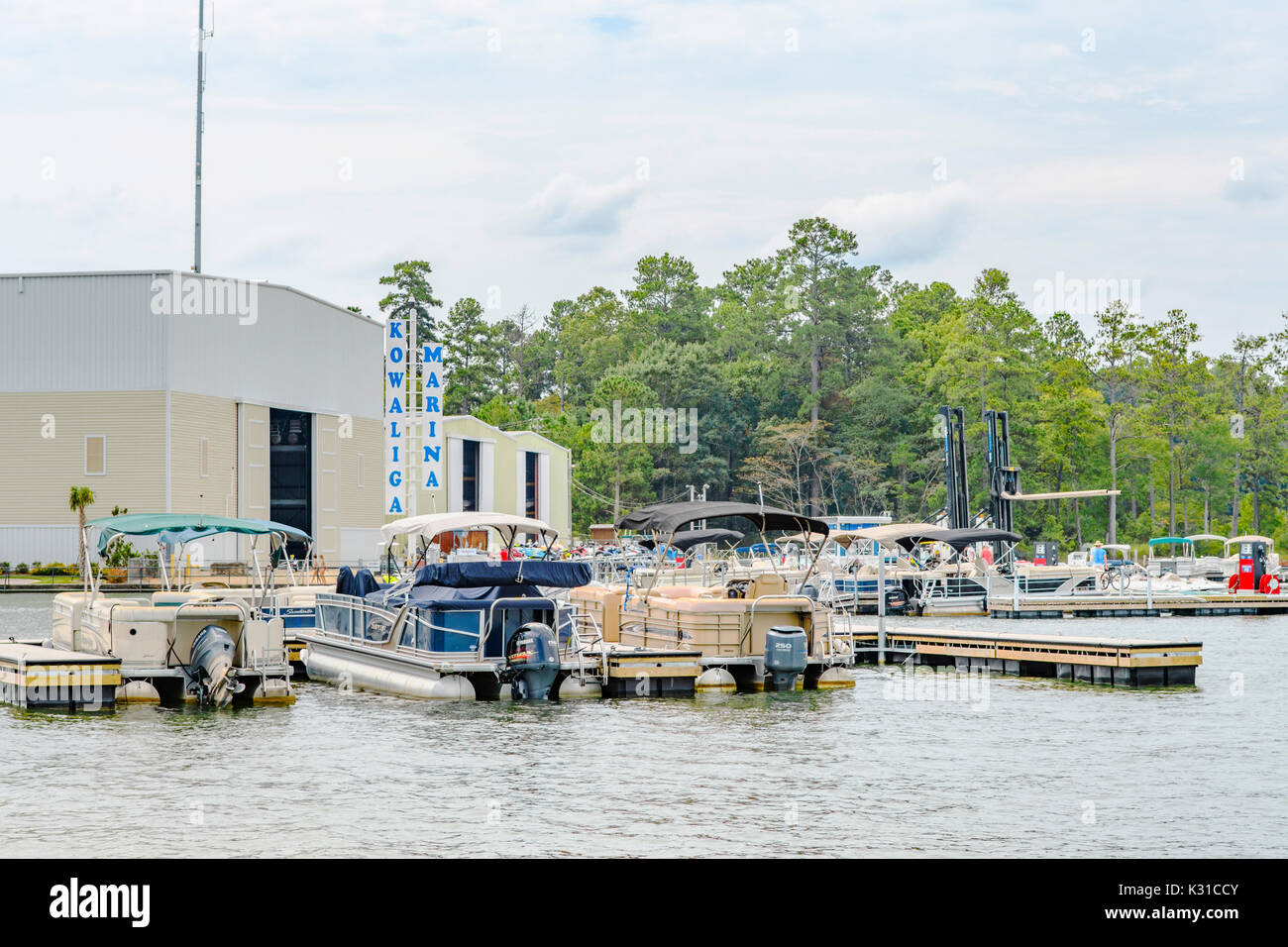 Kowaliga Marina on Lake Martin, Alabama, USA with numerous boats and families here for summer boating fun. Stock Photo