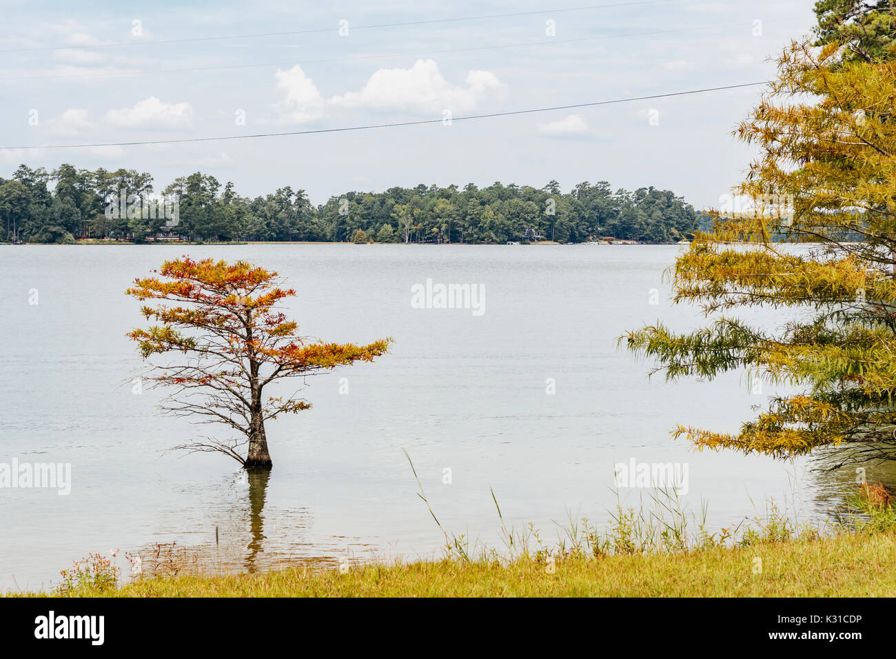 Calm water on Lake Martin, Alabama, USA showing the tree lined shoreline. Stock Photo