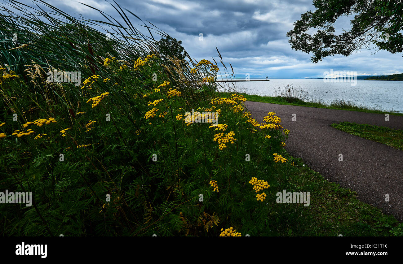Beautiful sunset and day light photos Stock Photo - Alamy