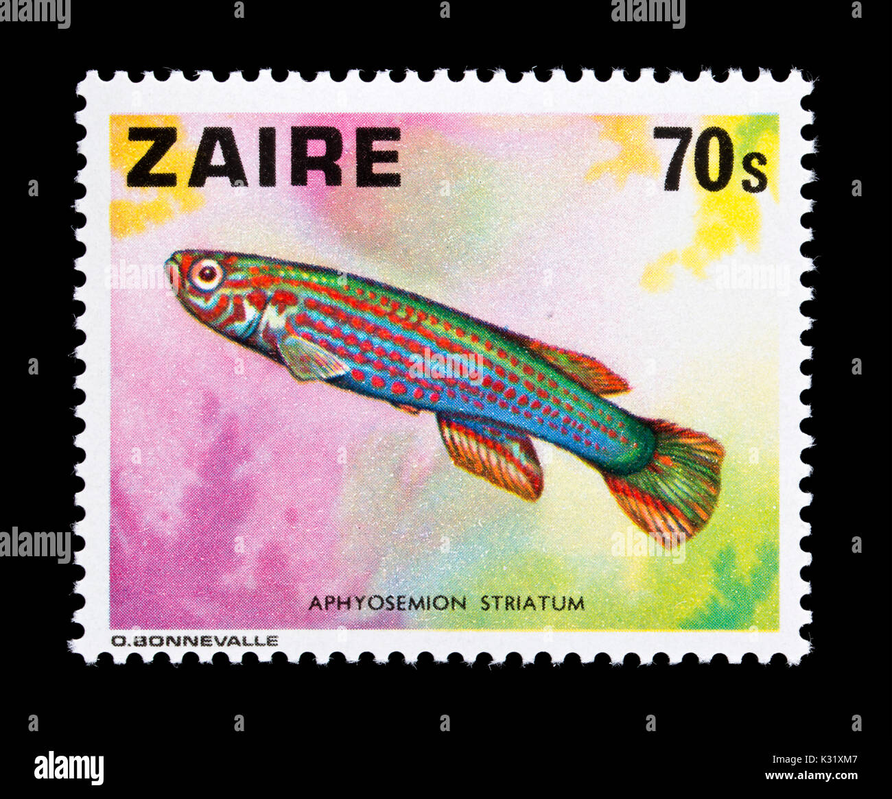 Postage stamp from Zaire depicting a (Aphyosemion striatum) Stock Photo