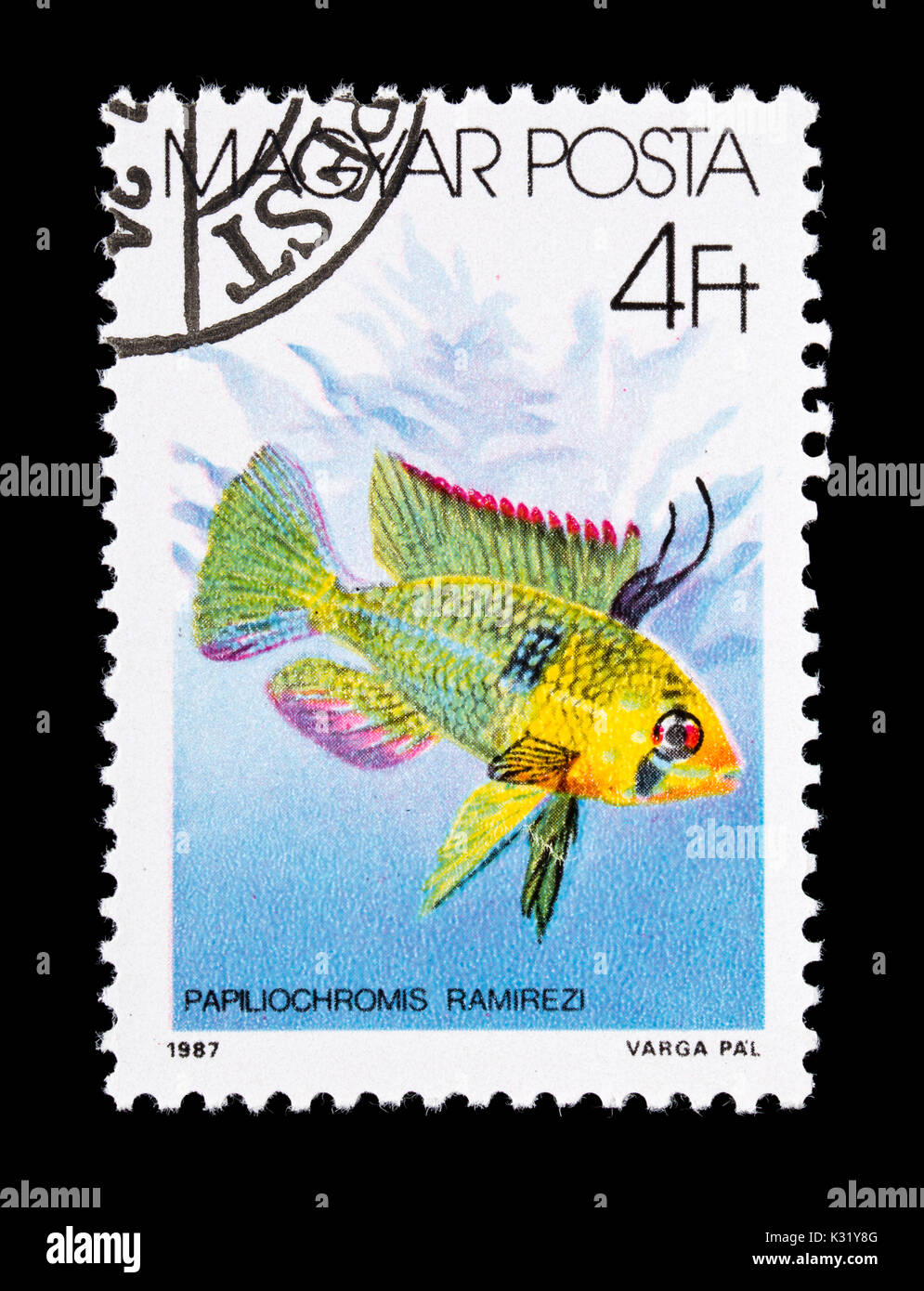 Postage stamp from Hungary depicting  ram cichlid (Papiliochromis ramirezi) Stock Photo