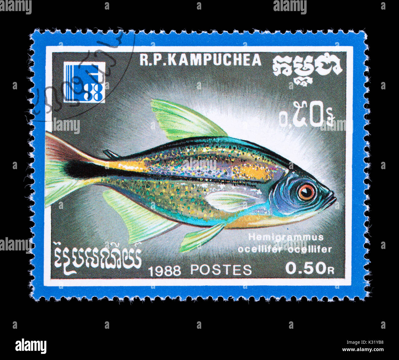 Postage stamp from Cambodia (Kampuchea) depicting a  Head-and-tail light Tetra (Hemigrammus ocellifer) Stock Photo