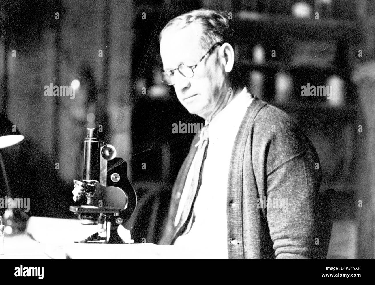 Sepia candid photograph of Robert Erwin Coker, zoologist and fellow and professor of biology at Johns Hopkins University, standing at a laboratory bench with microscope, wearing glasses, tie, and cardigan, Baltimore, Maryland, 1929. Stock Photo