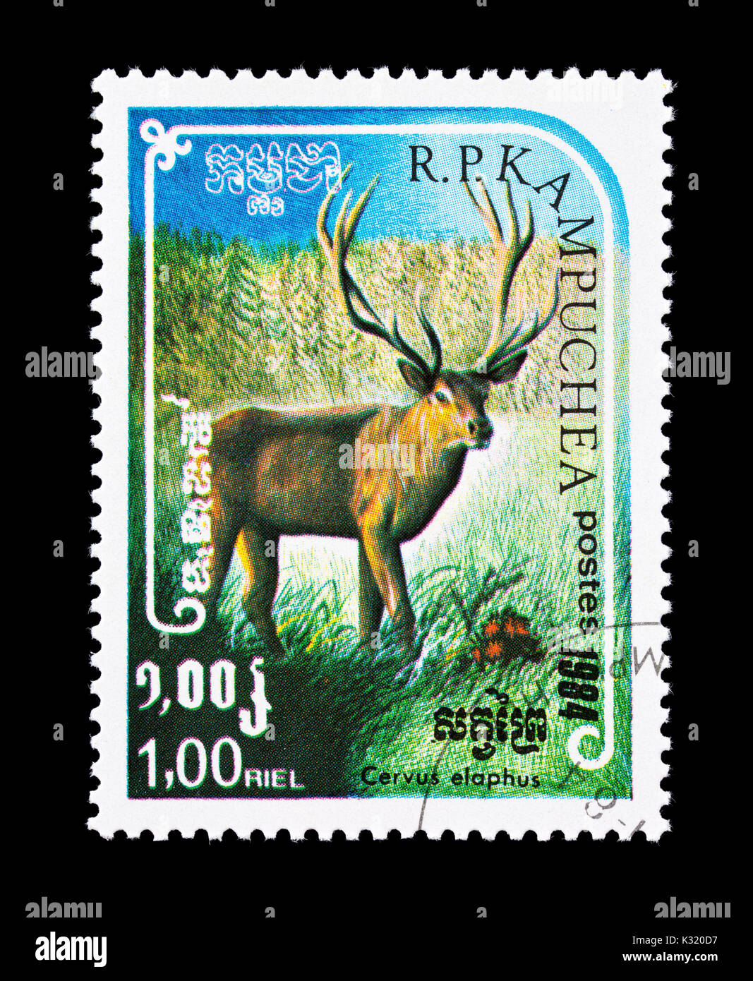 Postage stamp from Cambodia (Kampuchea) depicting a red deer (Cervus elaphus) Stock Photo