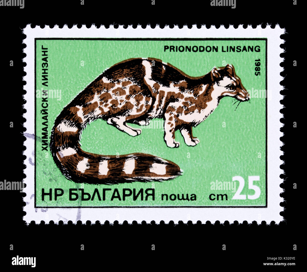 Postage stamp from Bugaria depicting a  banded linsang (Prionodon linsang) Stock Photo