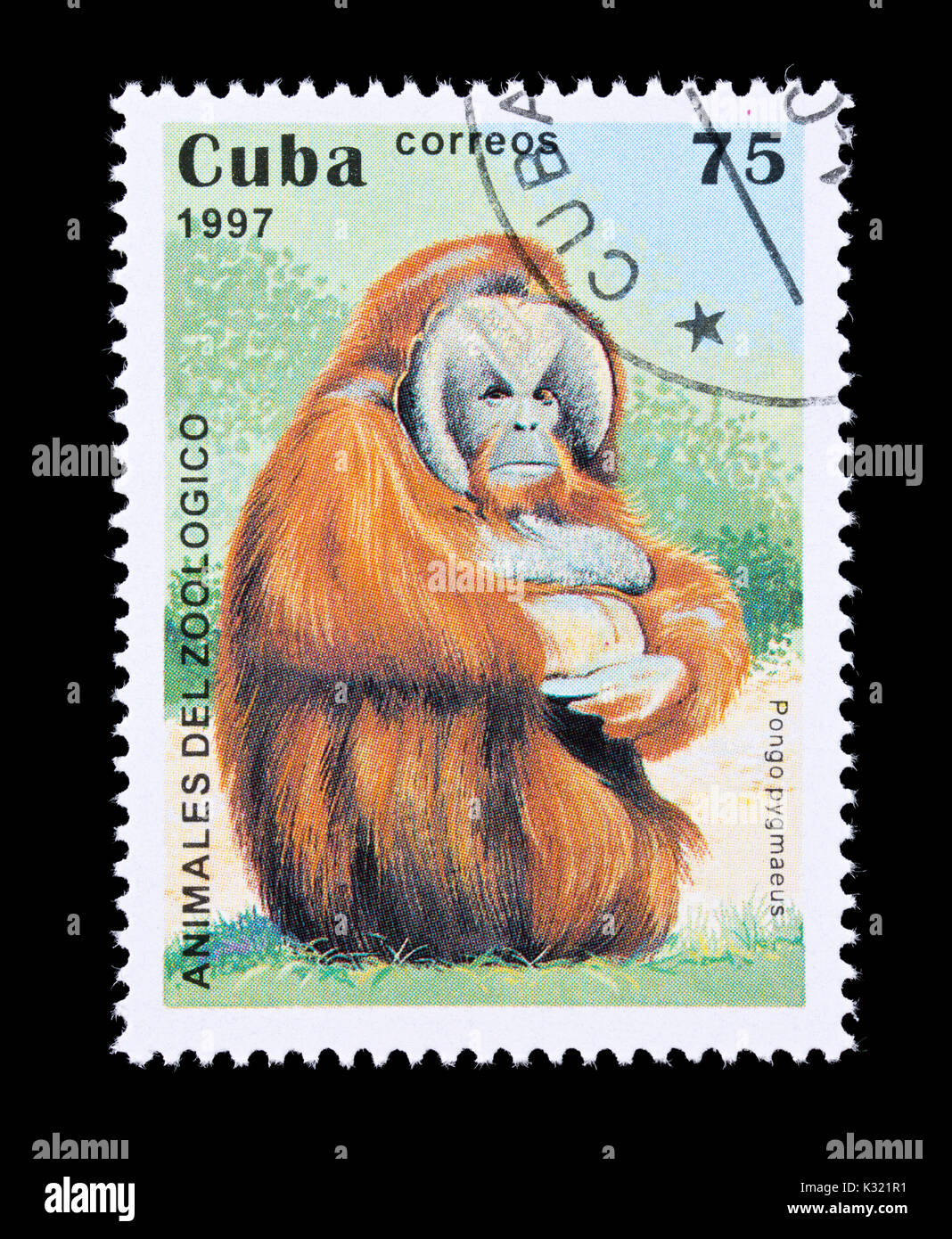 Postage stamp from Cuba depicting a Bornean orangutan (Pongo pygmaeus) Stock Photo