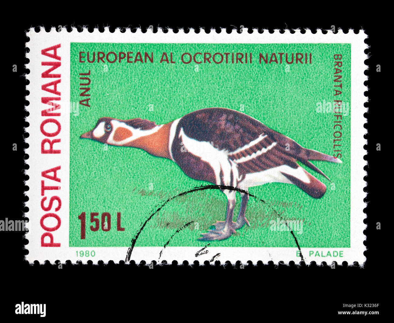 Postage stamp from Romania depicting a red-breasted goose (Branta ruficollis) Stock Photo