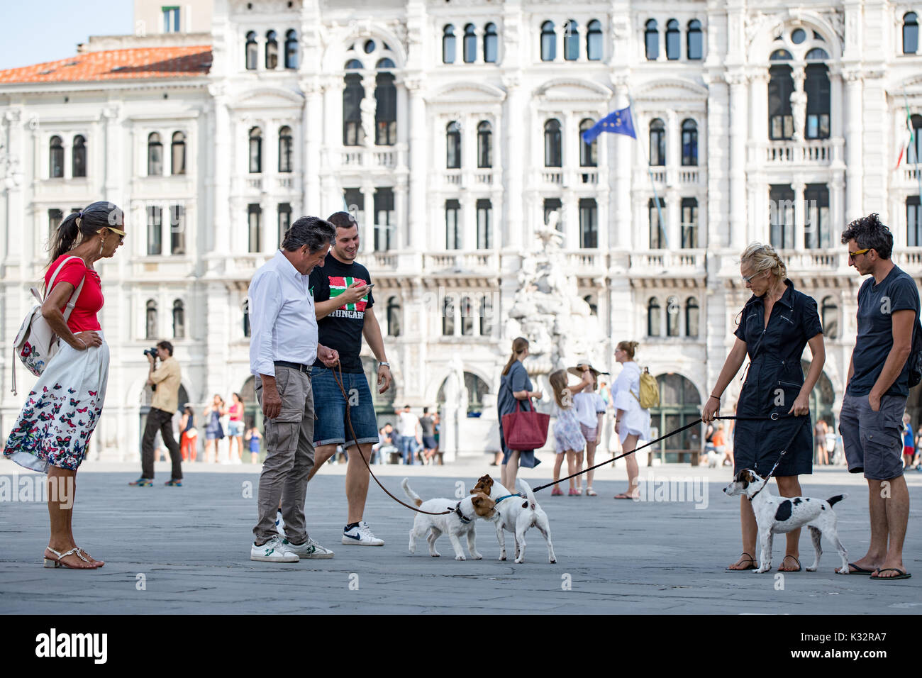 Dogs and dog owners. Meeting in front of he town hall. Unity Squere Triest, Piazza Unità d'Italia, Trieste, Italy Stock Photo