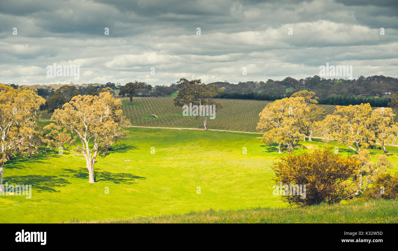 Adelaide Hills wine region landscape viewed from Woodside, South
