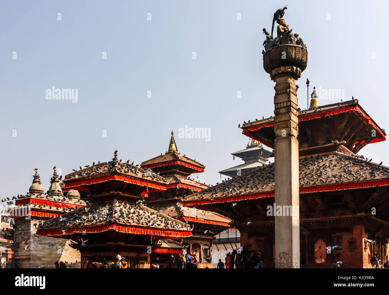 Pigeons covering Kathmandu's Durbar square's temples and pagodas Stock Photo