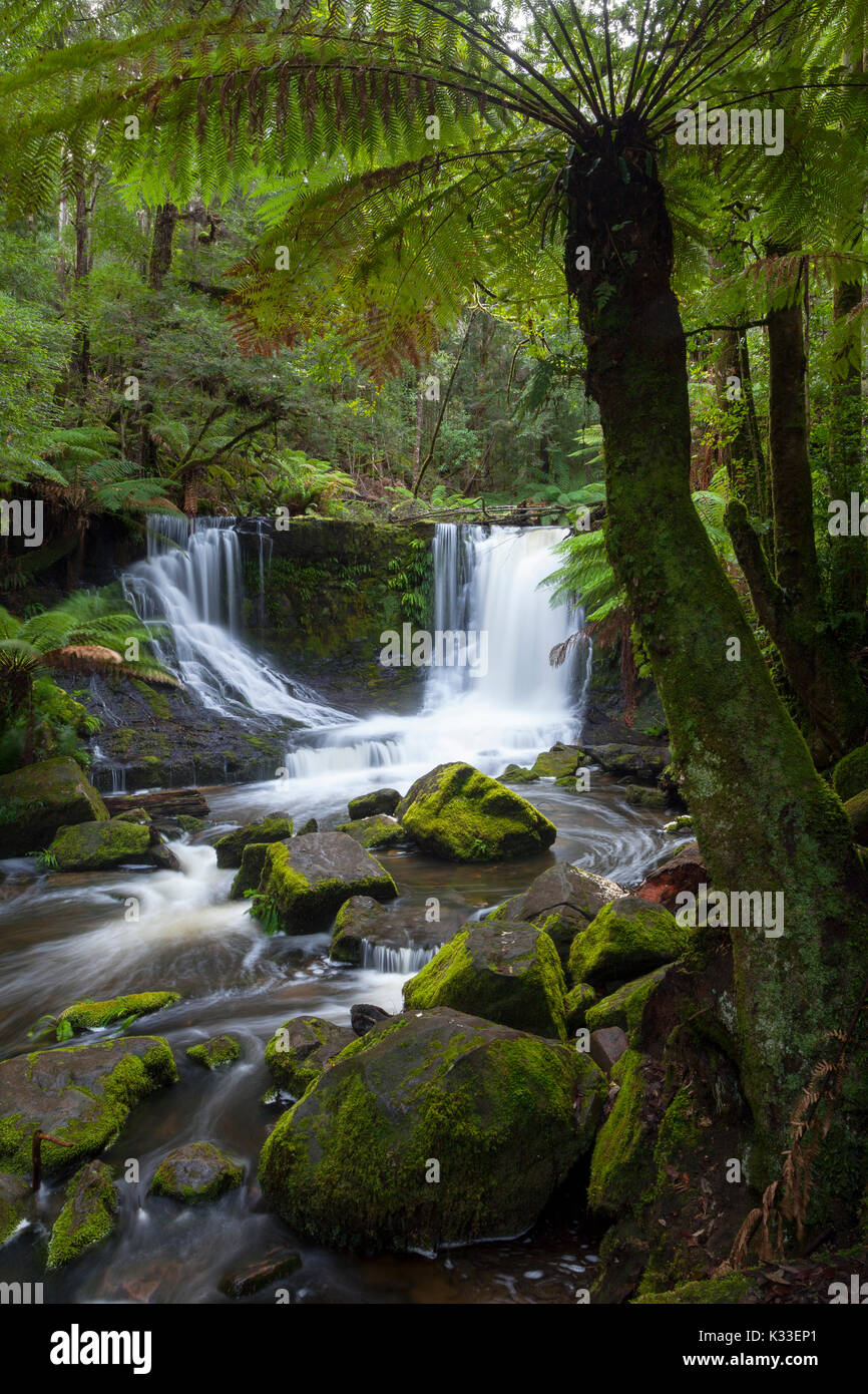 Mt field national park hi-res stock photography and images - Alamy