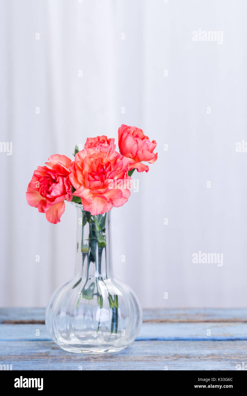 orange carnations in glas vase Stock Photo