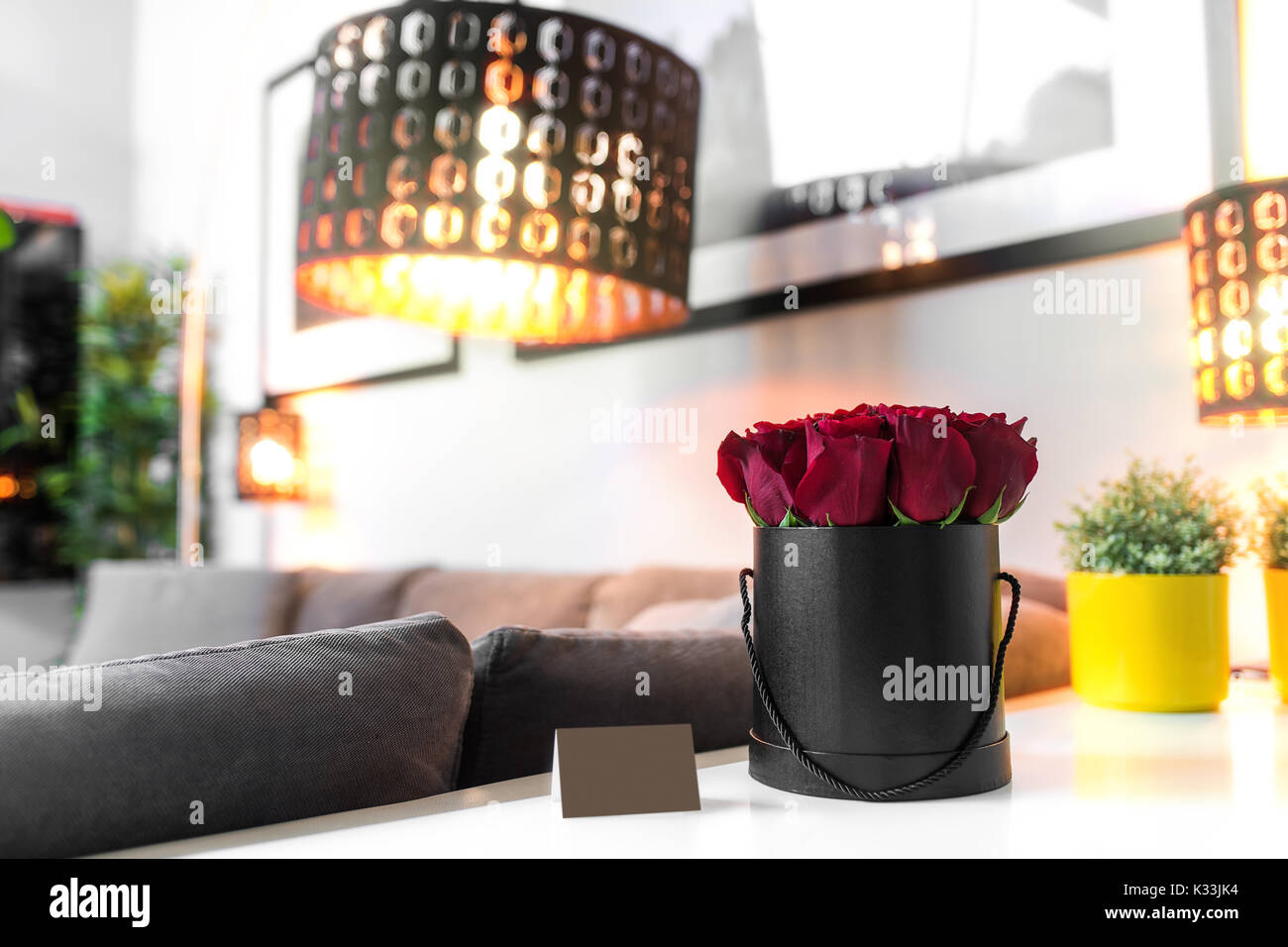 Roses in black box standing on the white table Stock Photo