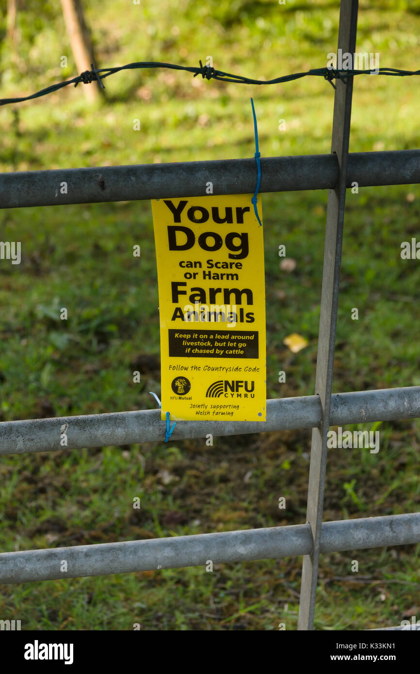 Dog and sheep warning hires stock photography and images Alamy