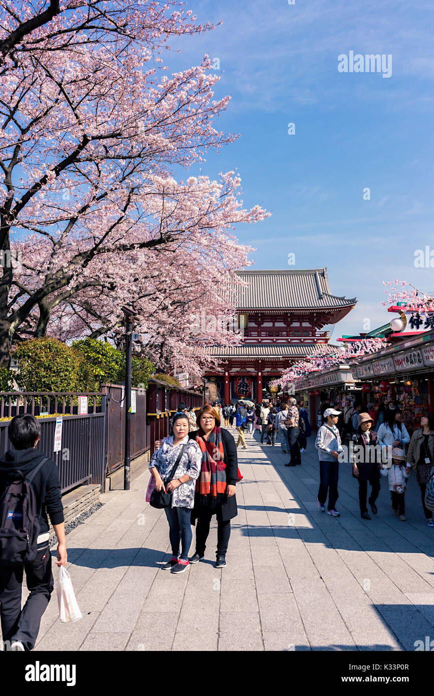 Sakura blossoms in Tokyo Stock Photo - Alamy