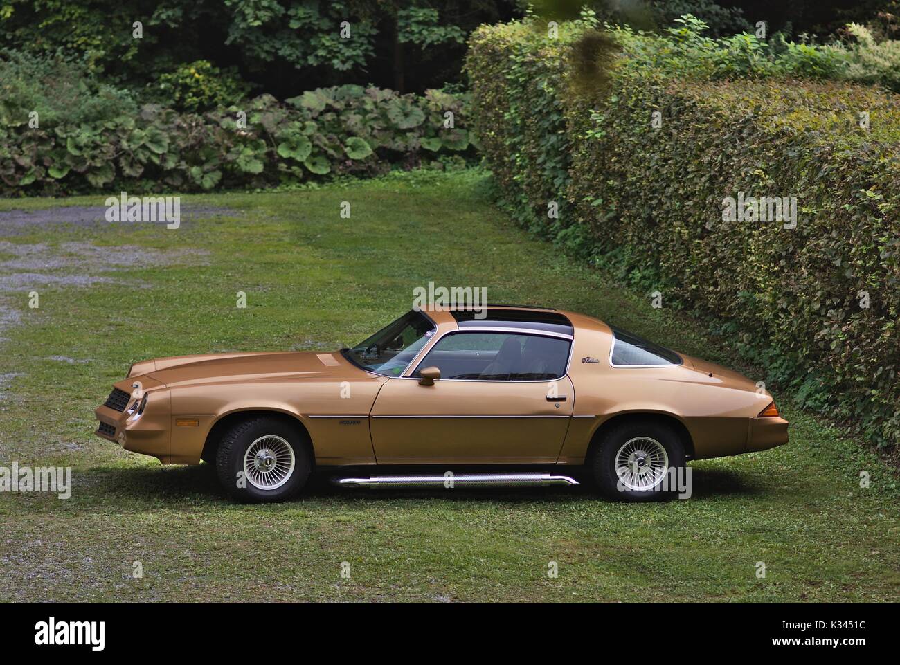 Golden Camara Berlinetta with T-Top Stock Photo