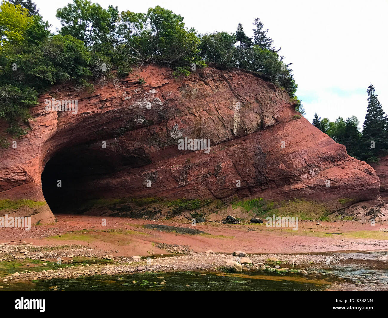 Caves and coastal features at low tide on the Bay of Fundy, near