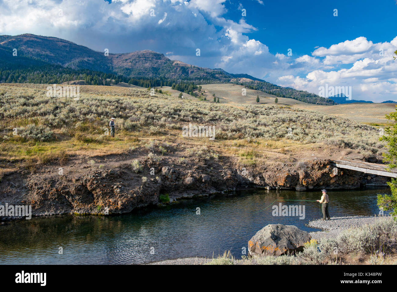 Fly fishing in Yellowstone National Park Stock Photo - Alamy